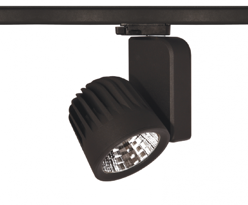 ODONİ MAXI RAY SPOT