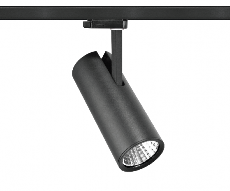 WİSPY MAXİ RAY SPOT